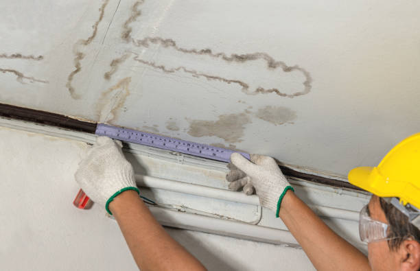 Reliable Mold Remediation contractor in Drumright, OK by Water Damage Irwin